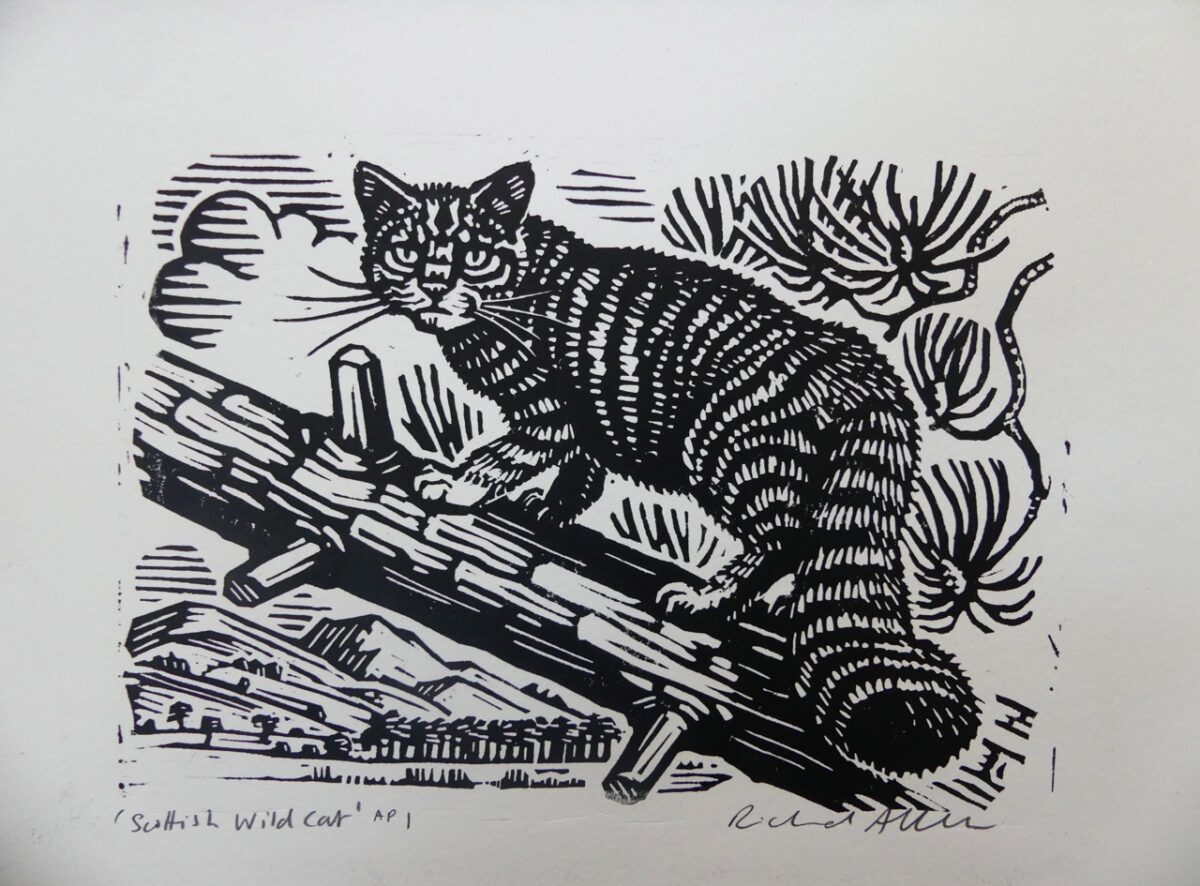 Artwork image titled: Scottish Wild Cat