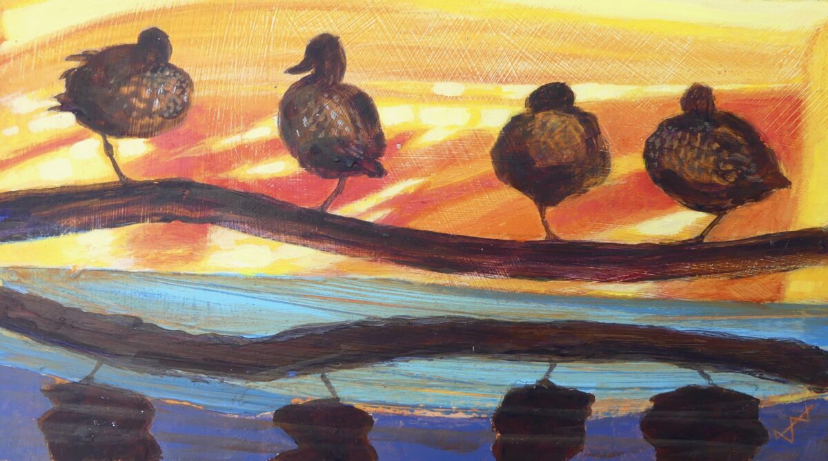 Artwork image titled: Pacific Black Ducks
