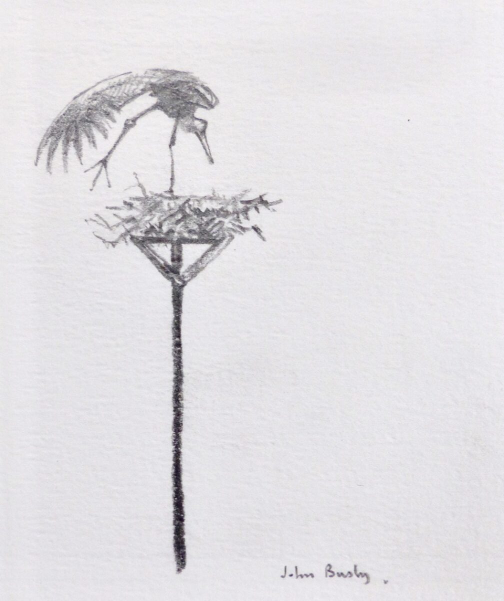 Artwork image titled: Stork