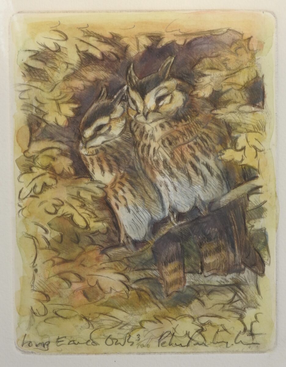 Artwork image titled: Long-eared Owls