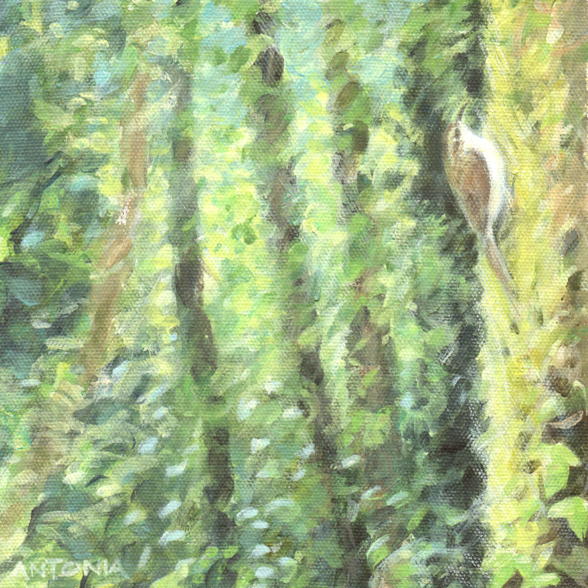 Artwork image titled: Woodland Afternoon – Uplyme