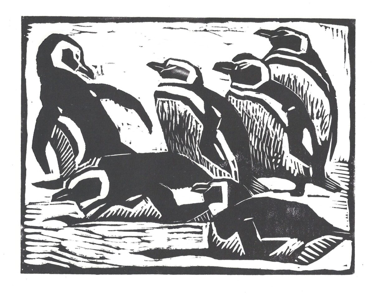 Artwork image titled: Penguins at Gypsy Cove