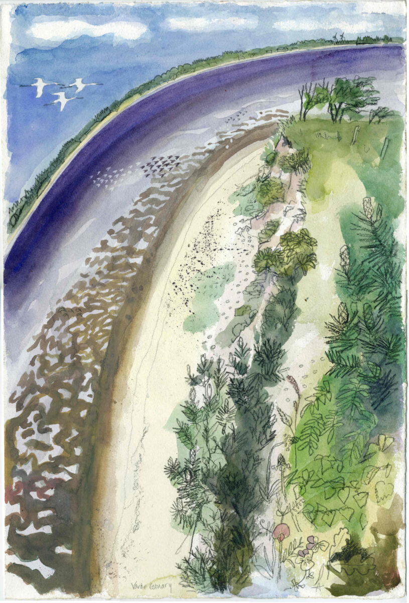 Artwork image titled: River Varde estuary Spoonbills