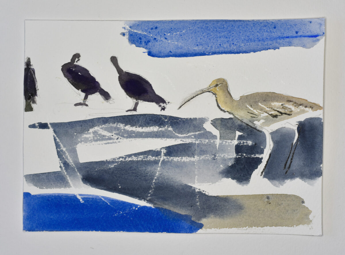 Artwork image titled: Curlew and Cormorants