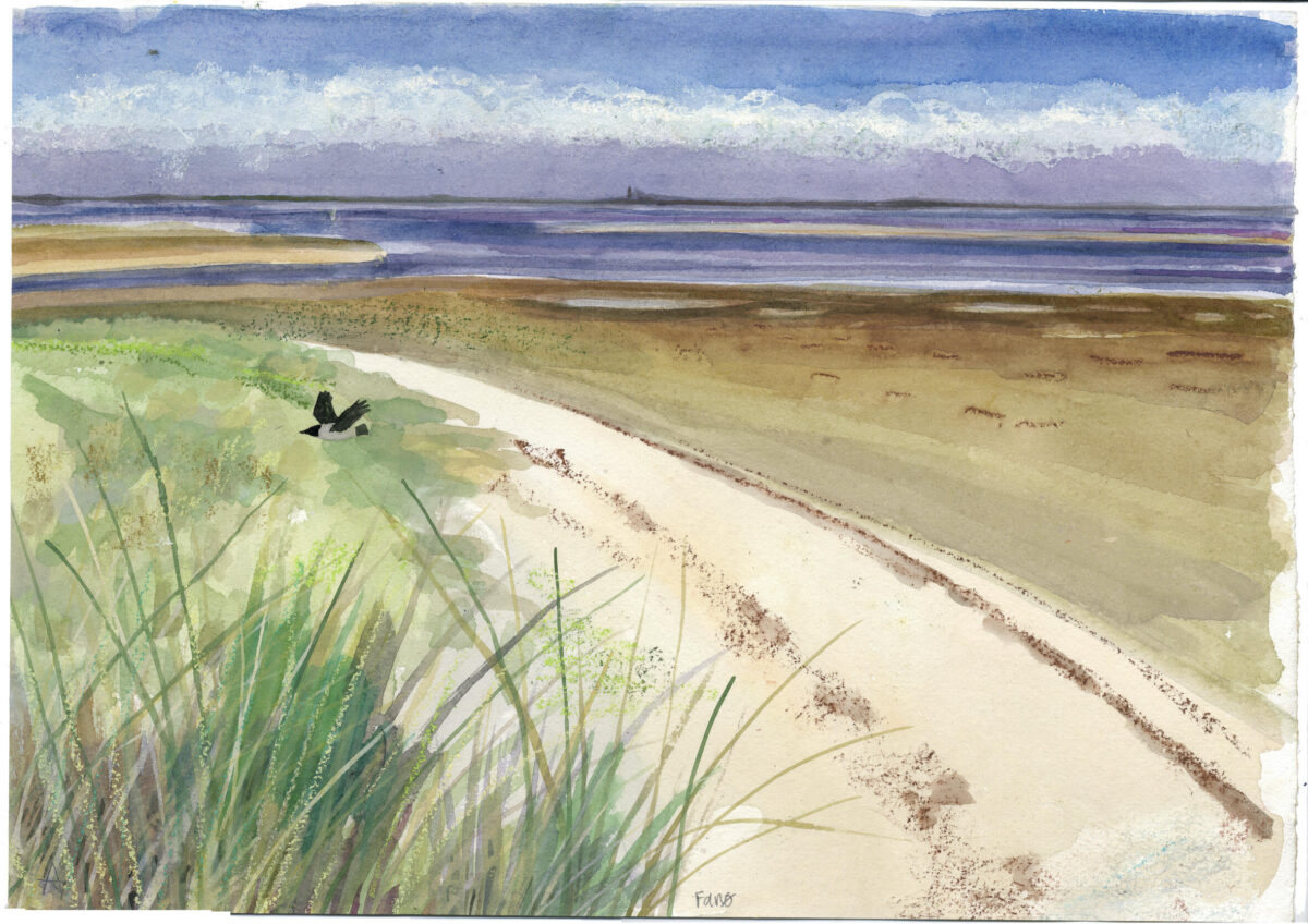 Artwork image titled: Sonderhø beach