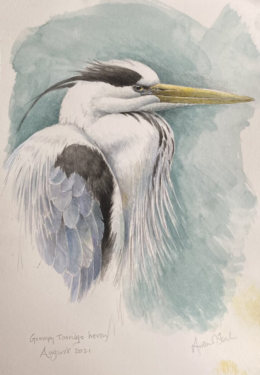 Artwork image titled: Torridge Heron
