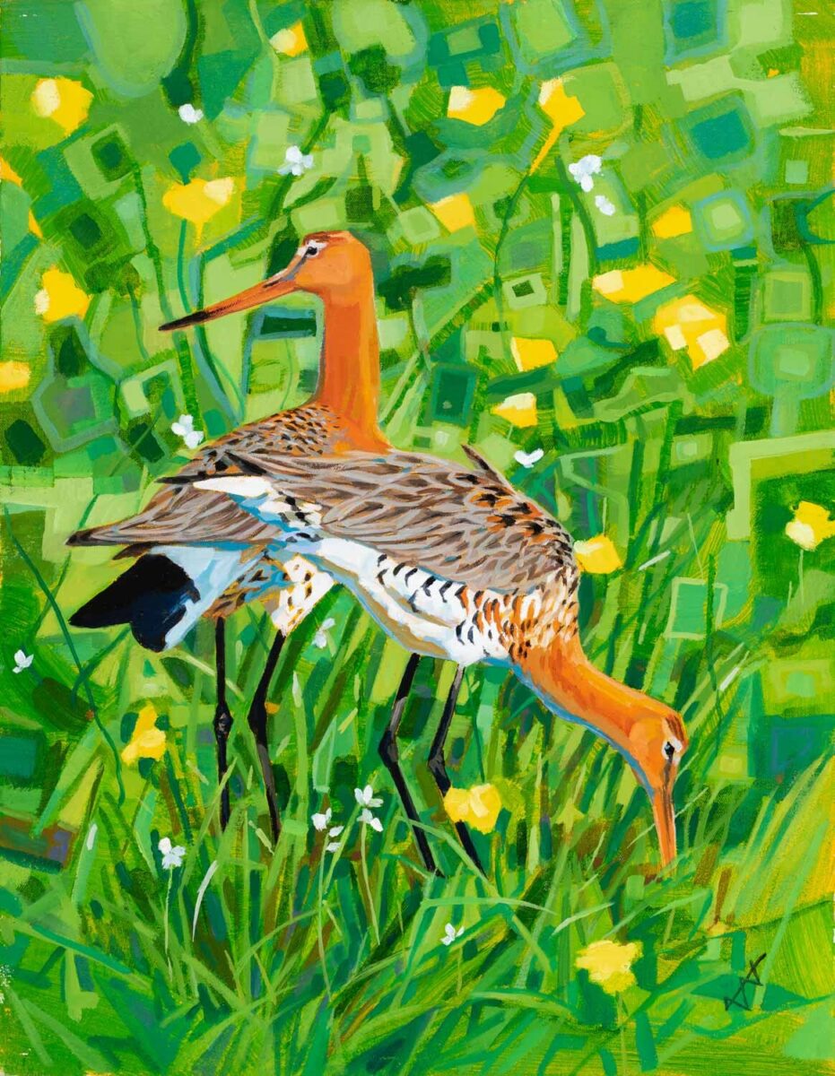 Artwork image titled: Summer Godwits