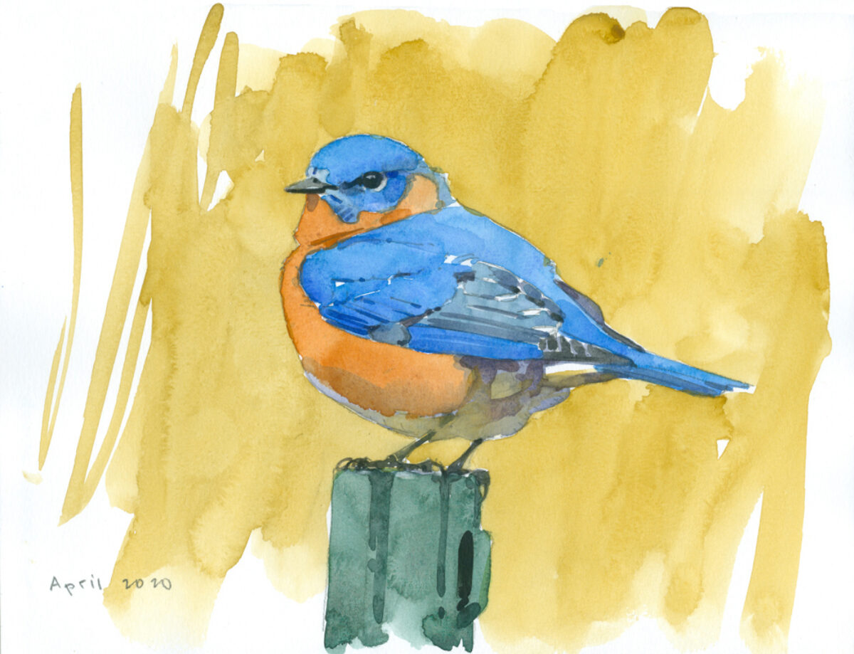 Artwork image titled: Bluebird
