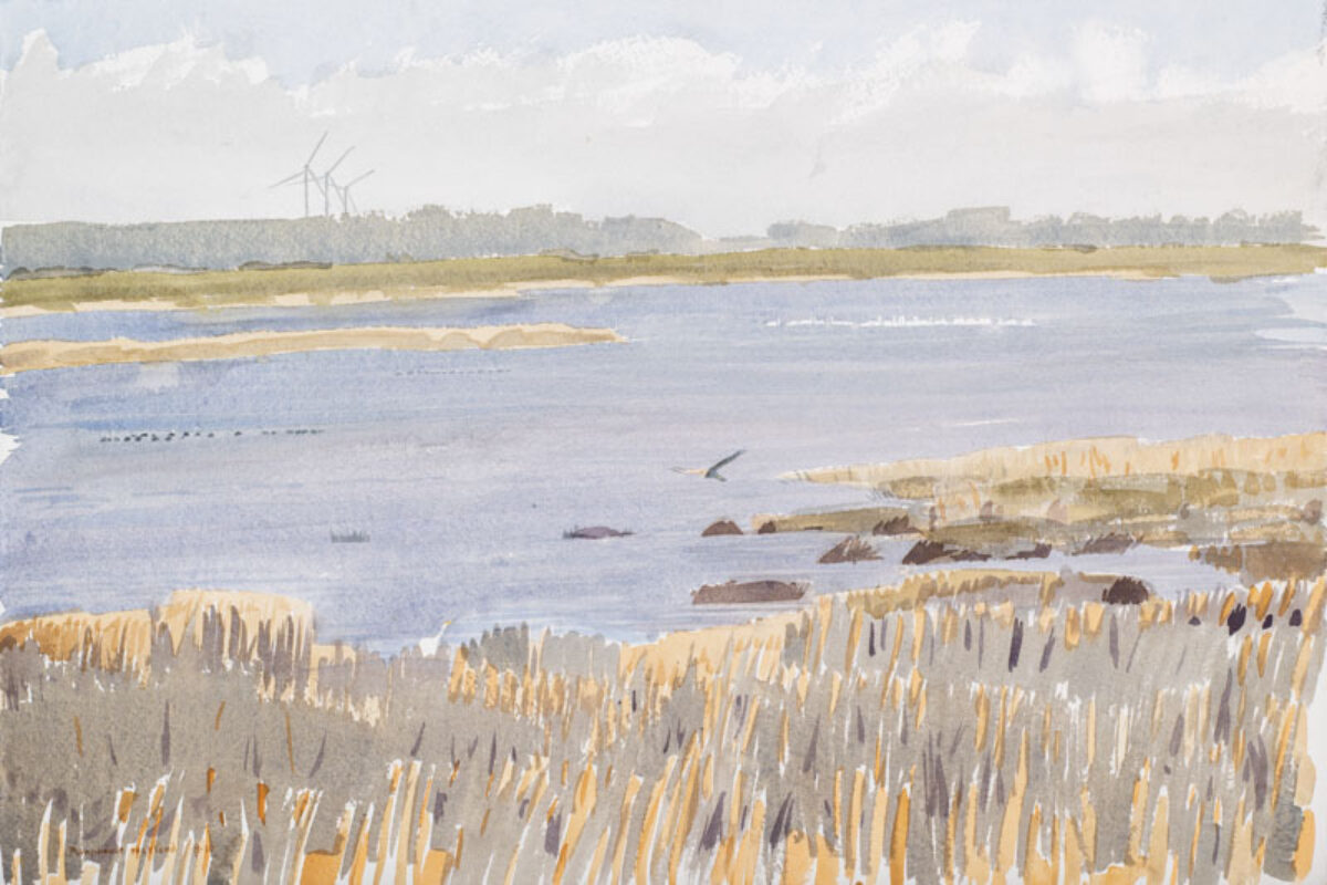 Artwork image titled: Wind turbines and Harrier, Wadden Sea