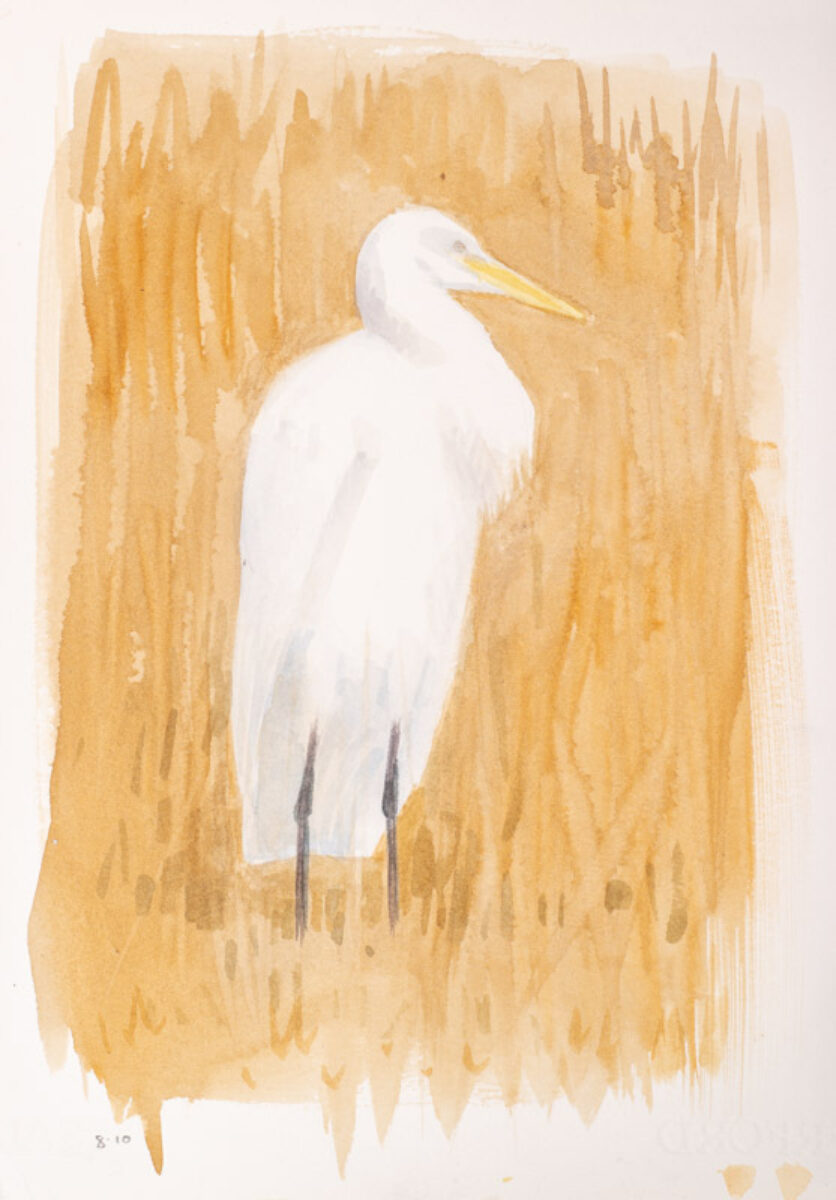 Artwork image titled: Great Egret 1