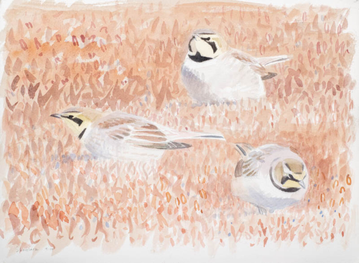 Artwork image titled: Three Shore Larks