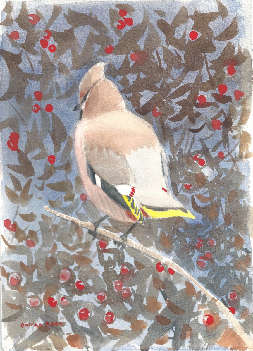 Artwork image titled: Waxwing and Berries