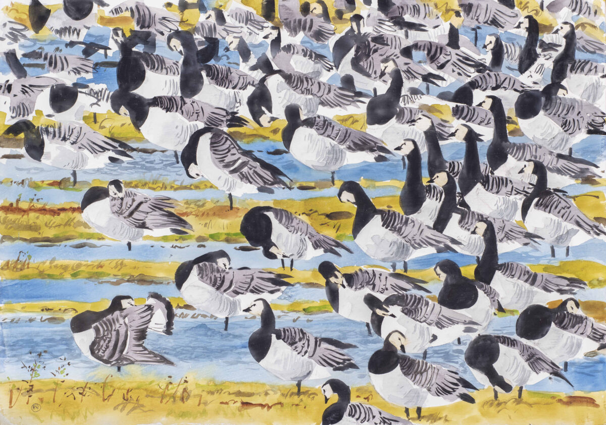 Artwork image titled: Barnacle Geese, Hojer