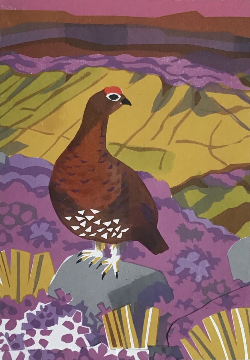 Artwork image titled: Red Grouse