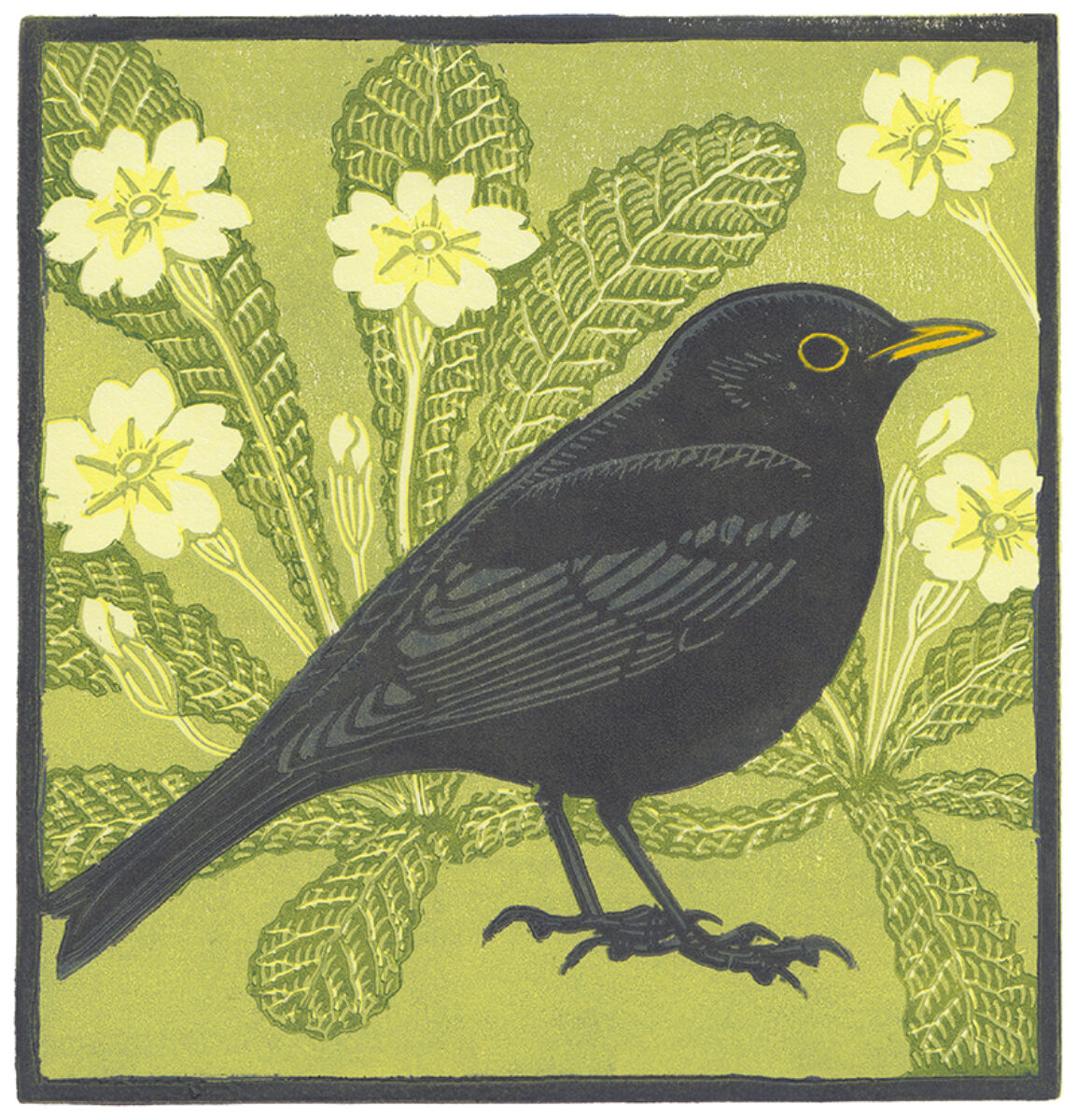 Artwork image titled: Blackbird and Primroses
