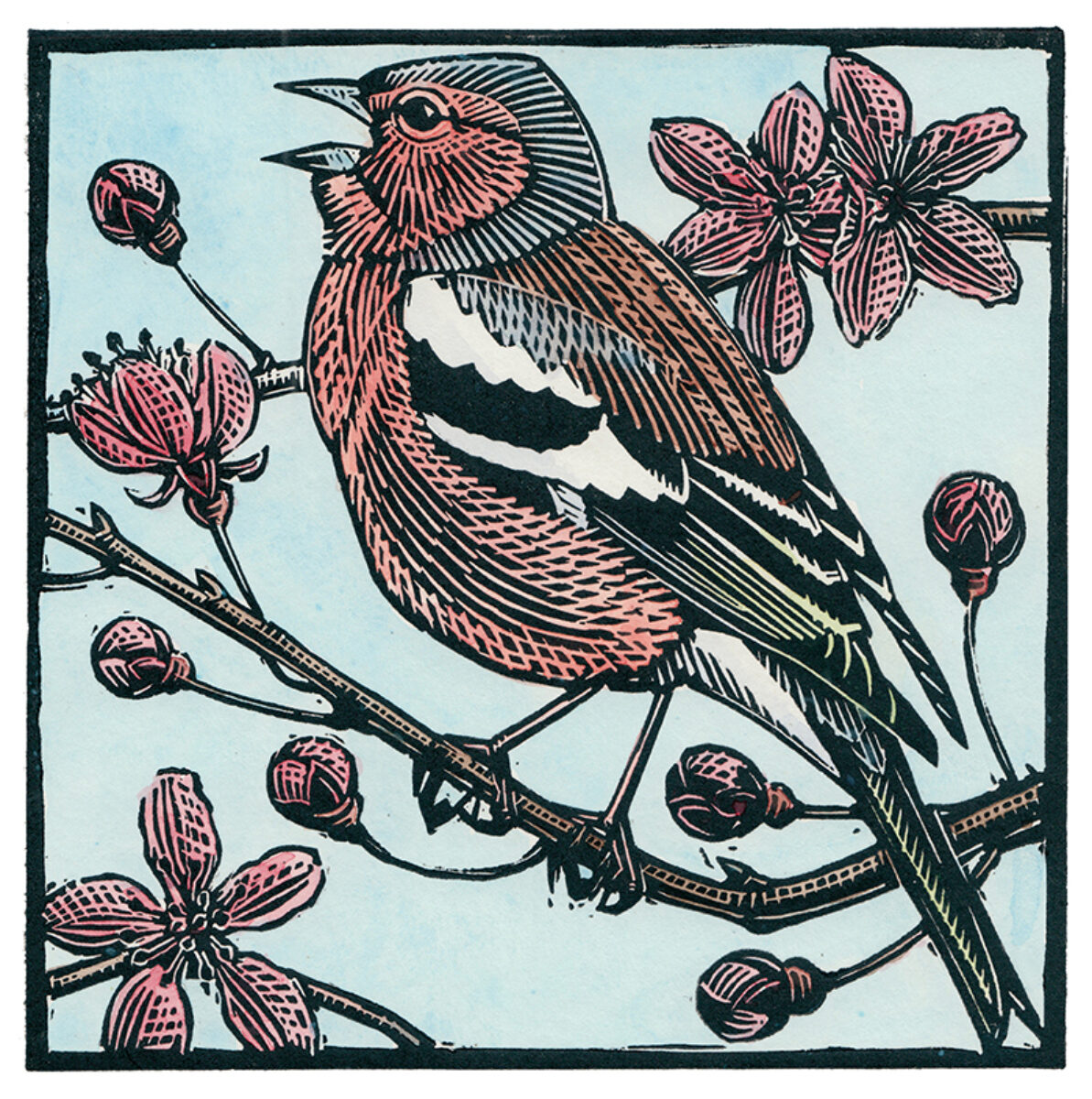 Artwork image titled: Chaffinch in song