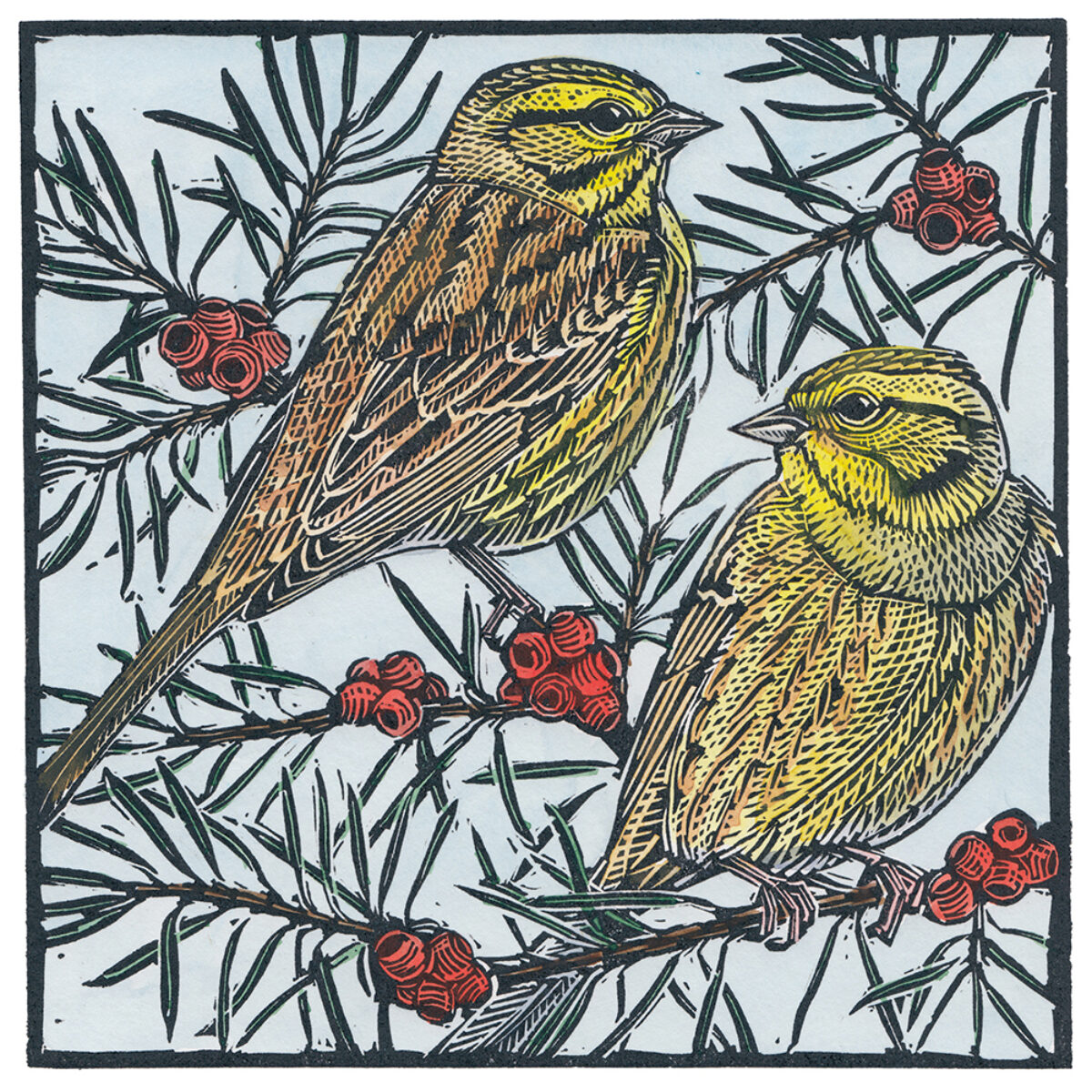 Artwork image titled: Yellowhammers and Yew