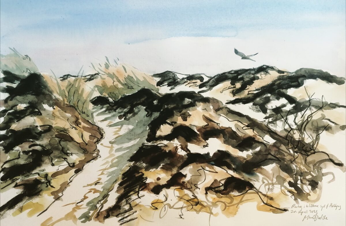 Artwork image titled: Marsh Harrier over Dunes