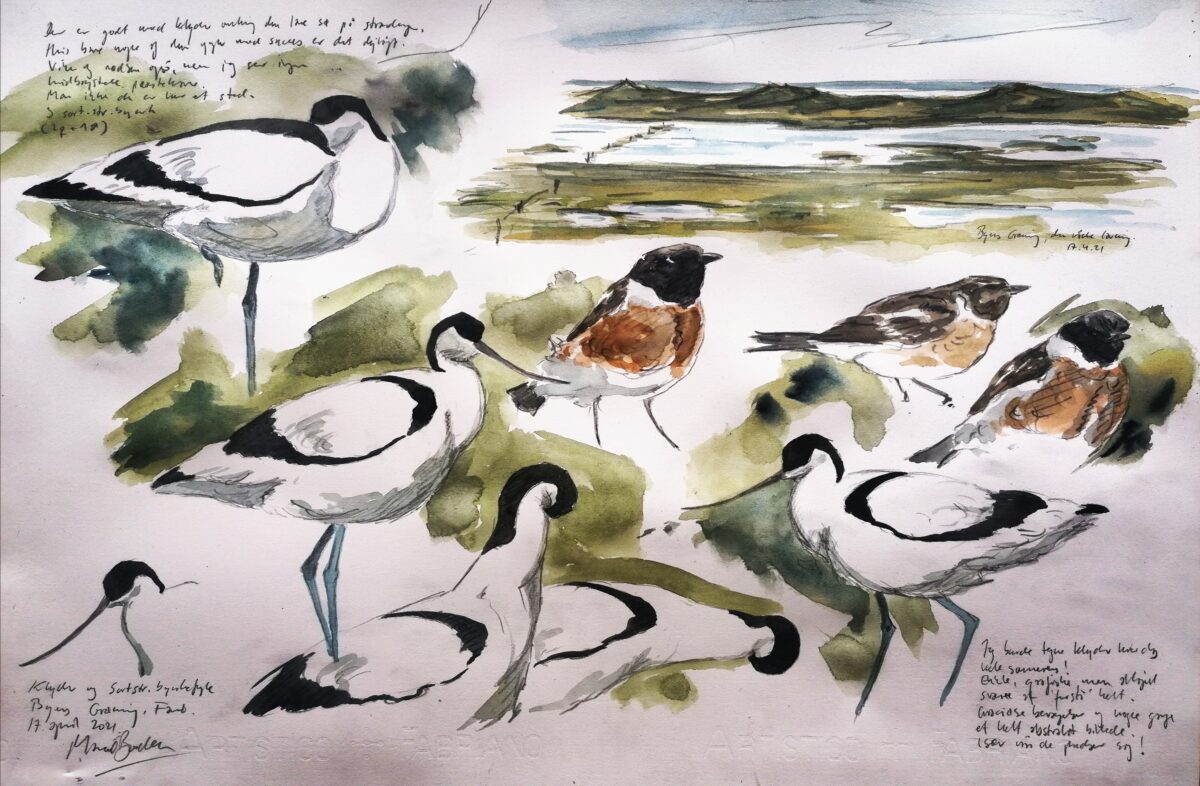 Artwork image titled: Avocets and Stonechats