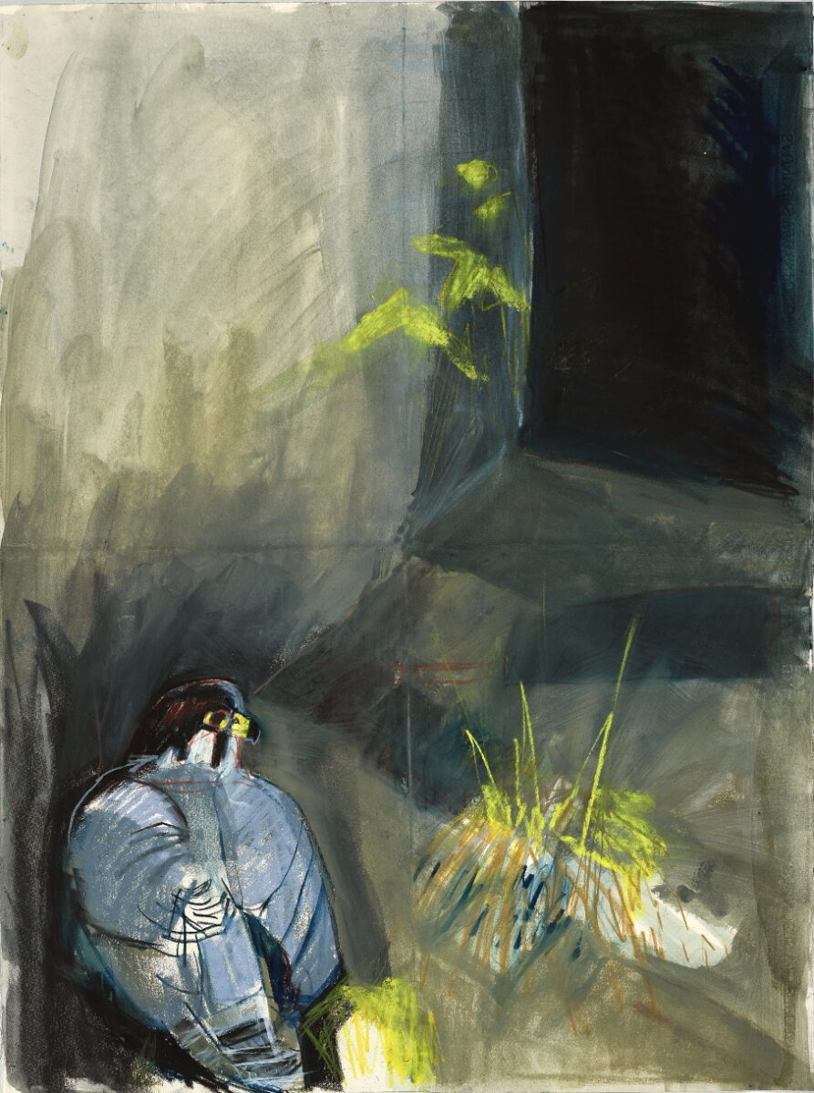 Artwork image titled: Resting Peregrine