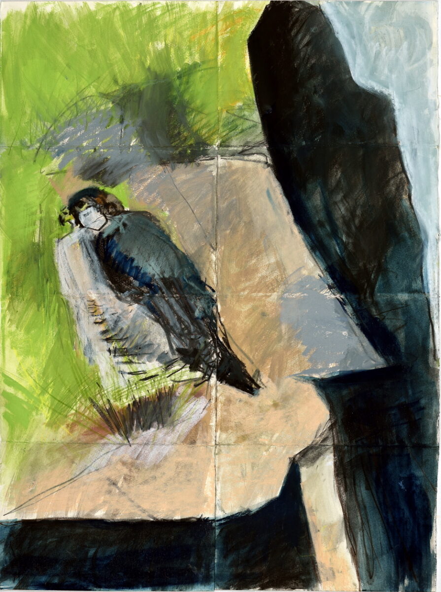 Artwork image titled: Sitting Peregrine
