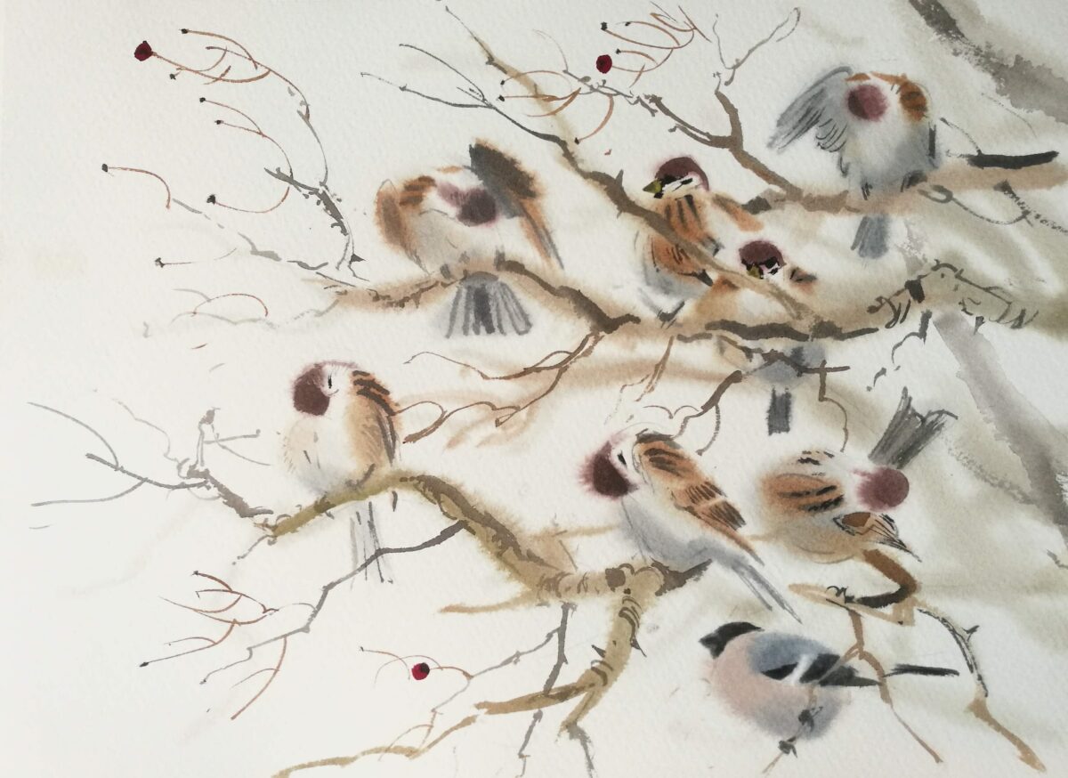 Artwork image titled: Hawthorn, Tree Sparrows and Bullfinch