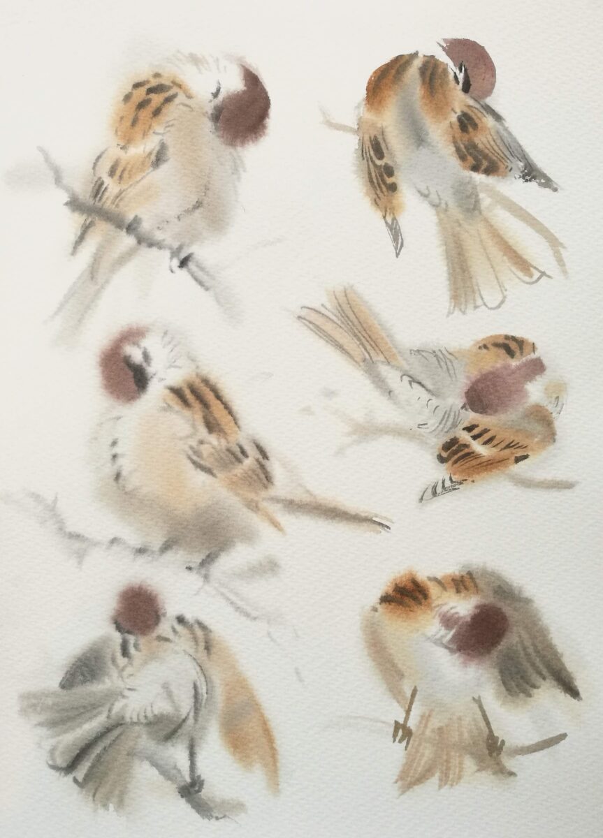 Artwork image titled: Preening Tree Sparrows