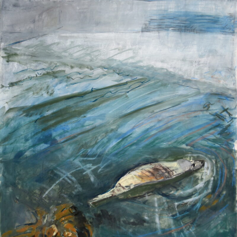   Mooching Seal by Kittie Jones