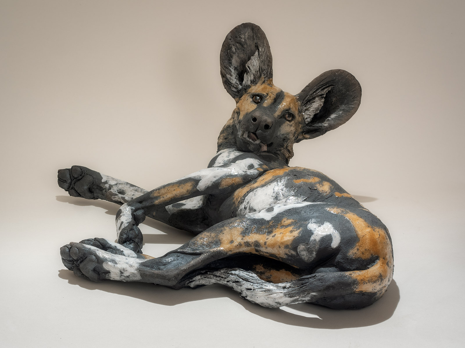   Wild Dog, Raku fired ceramic, 45 x 45 x 17cm.