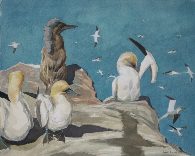 John Busby, Gannets on the Bass, Watercolour, 1987