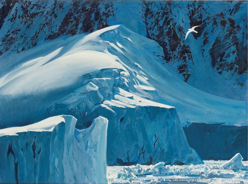   Graham Coast (snow petrel) by Keith Shackleton MBE  © Courtesy Rountree Tryon Gallery