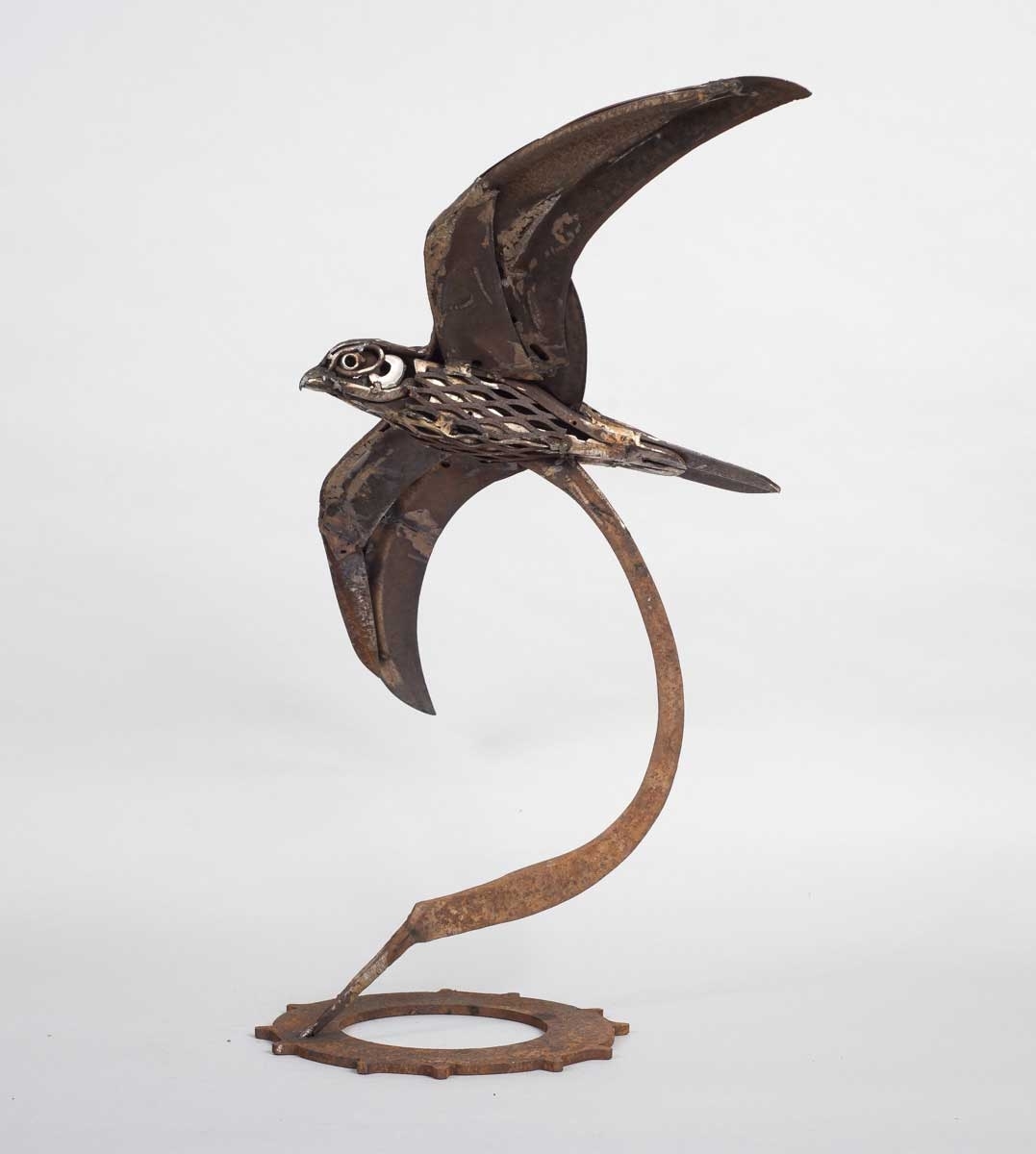 <p>Sickle winged Hobby</p>