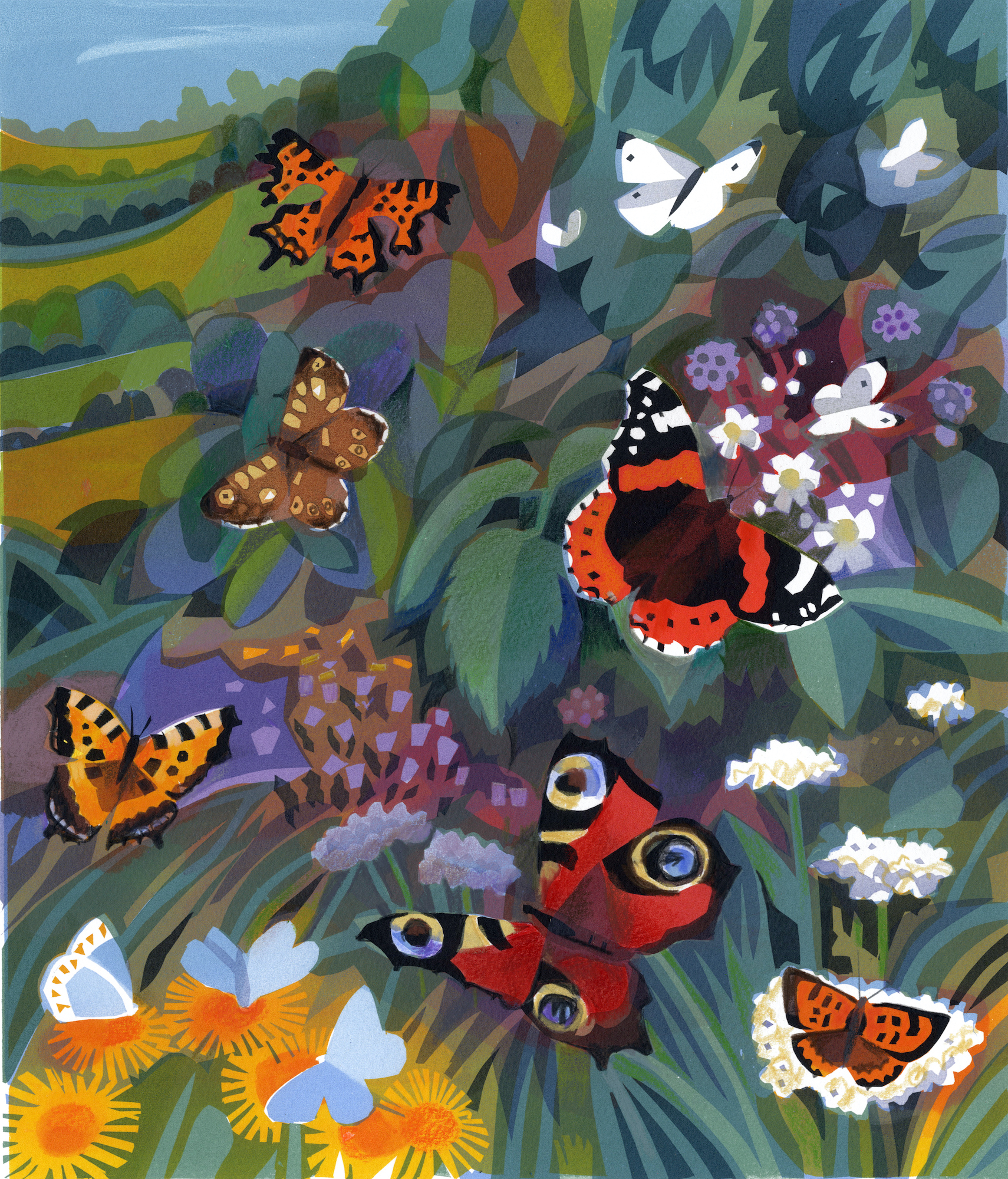 <p>Butterflies by Carry Akroyd</p>