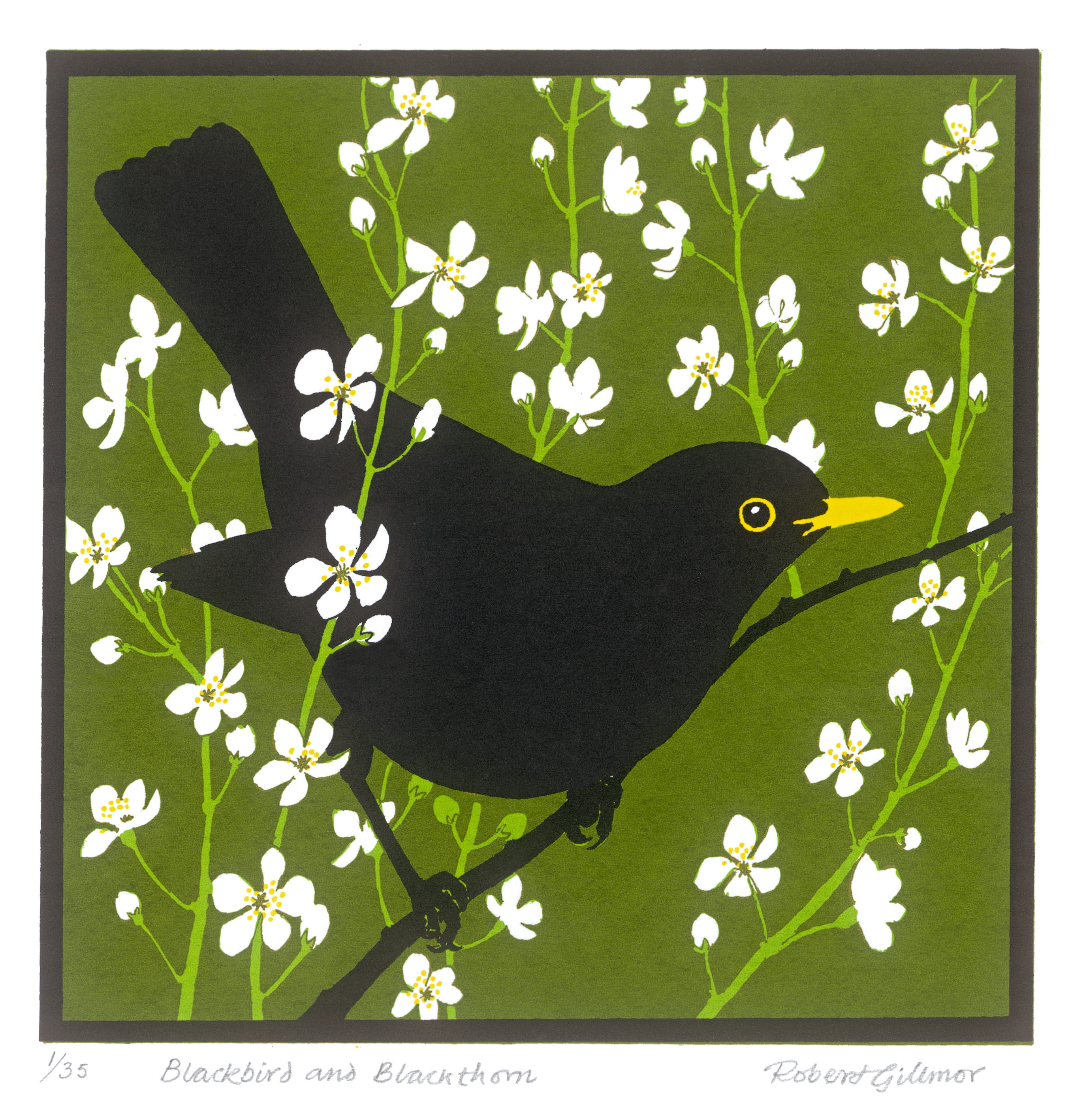 <p>Blackbird Blackthorn by Robert Gillmor</p>