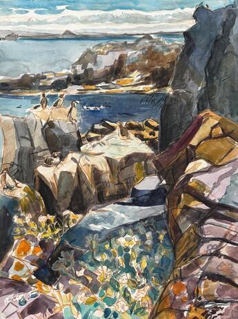 Rock Formations with Auks, Isle of May by Nye Hughes