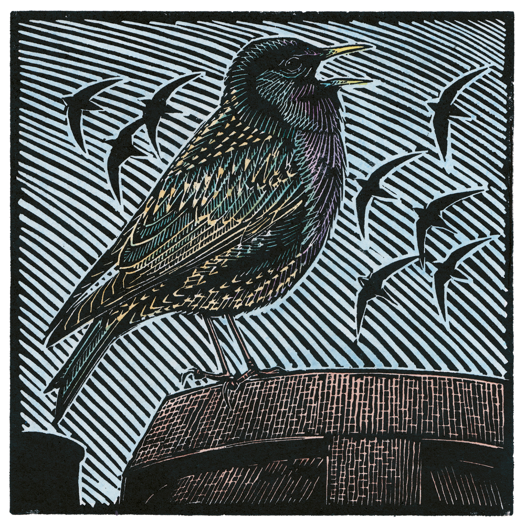 <p>Starling and Swifts by Richard Jarvis</p>