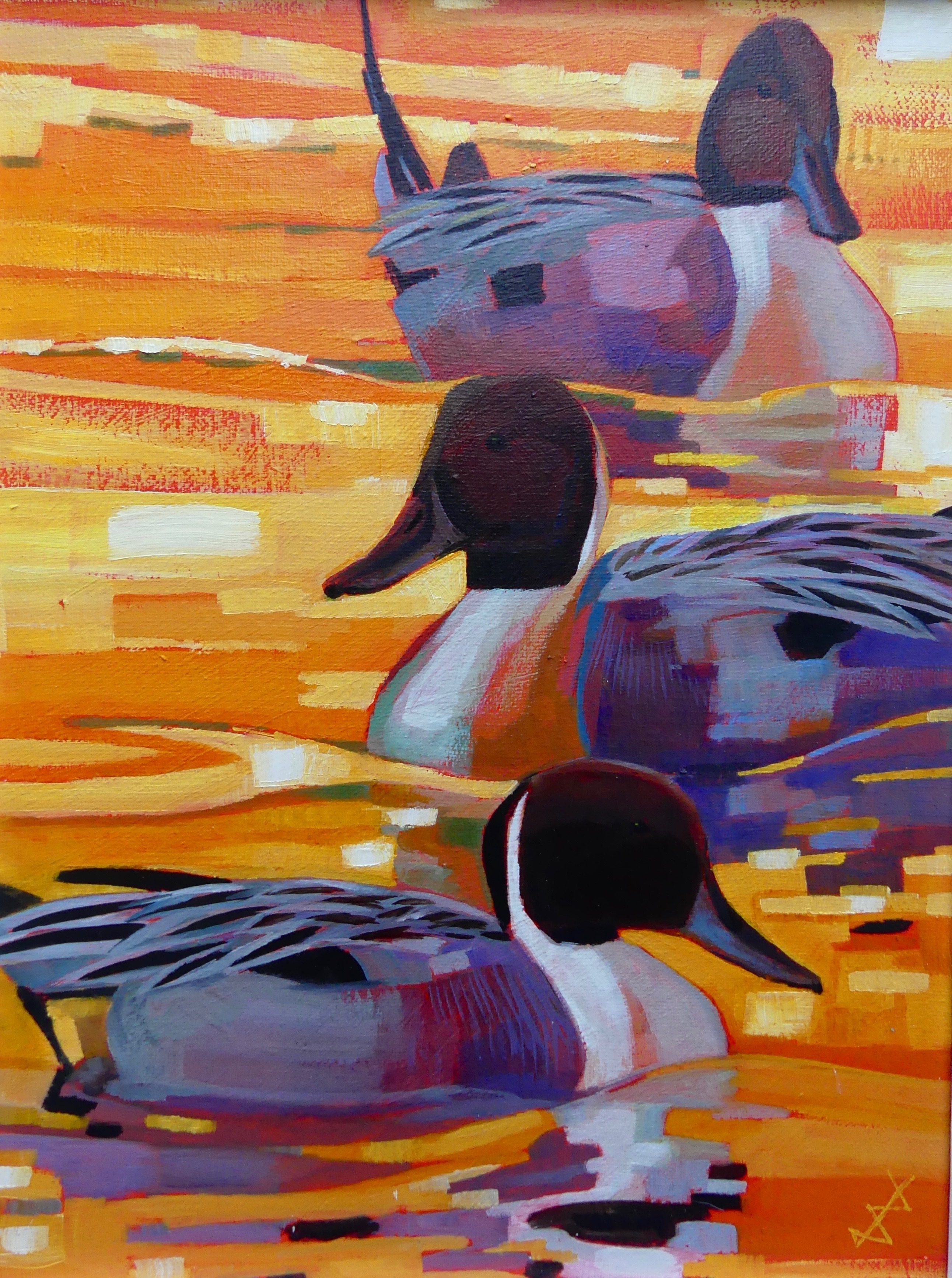 <p>Pintails by Brin Edwards</p>