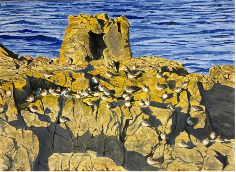 <p>'Stag Rocks' by Paul Henery</p>