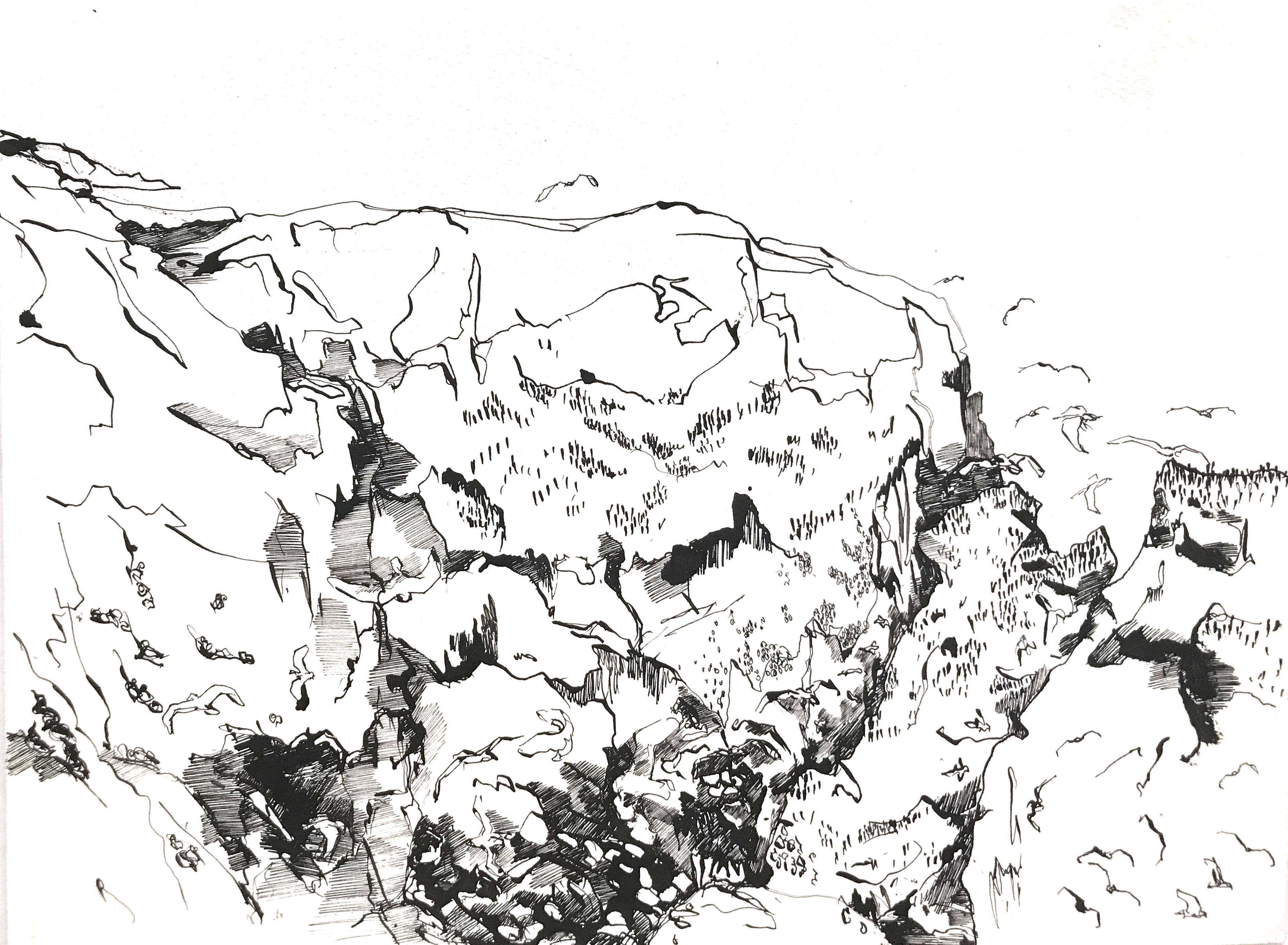Ink Drawing St Abbs
