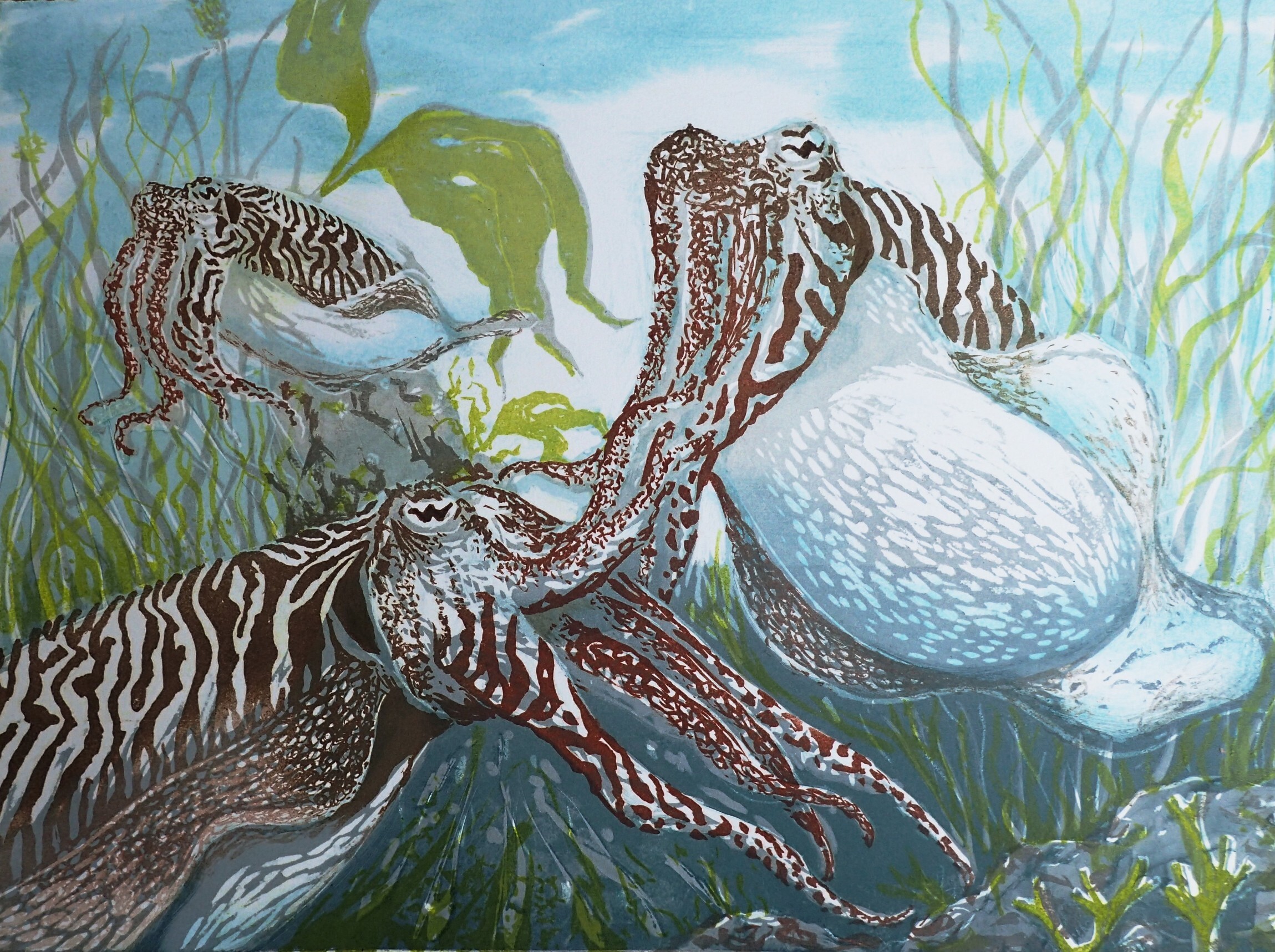 <p>The cunning Cuttlefish by Louise Scammell</p>