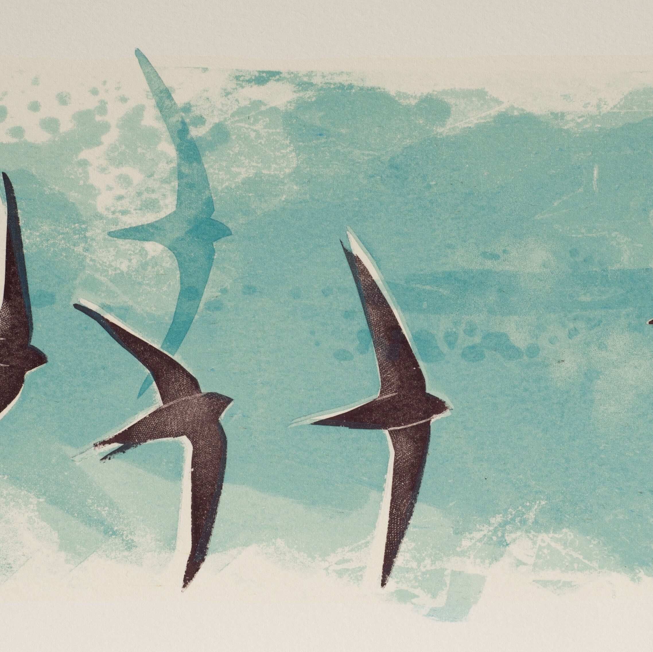   Summer Swifts by Jane Smith