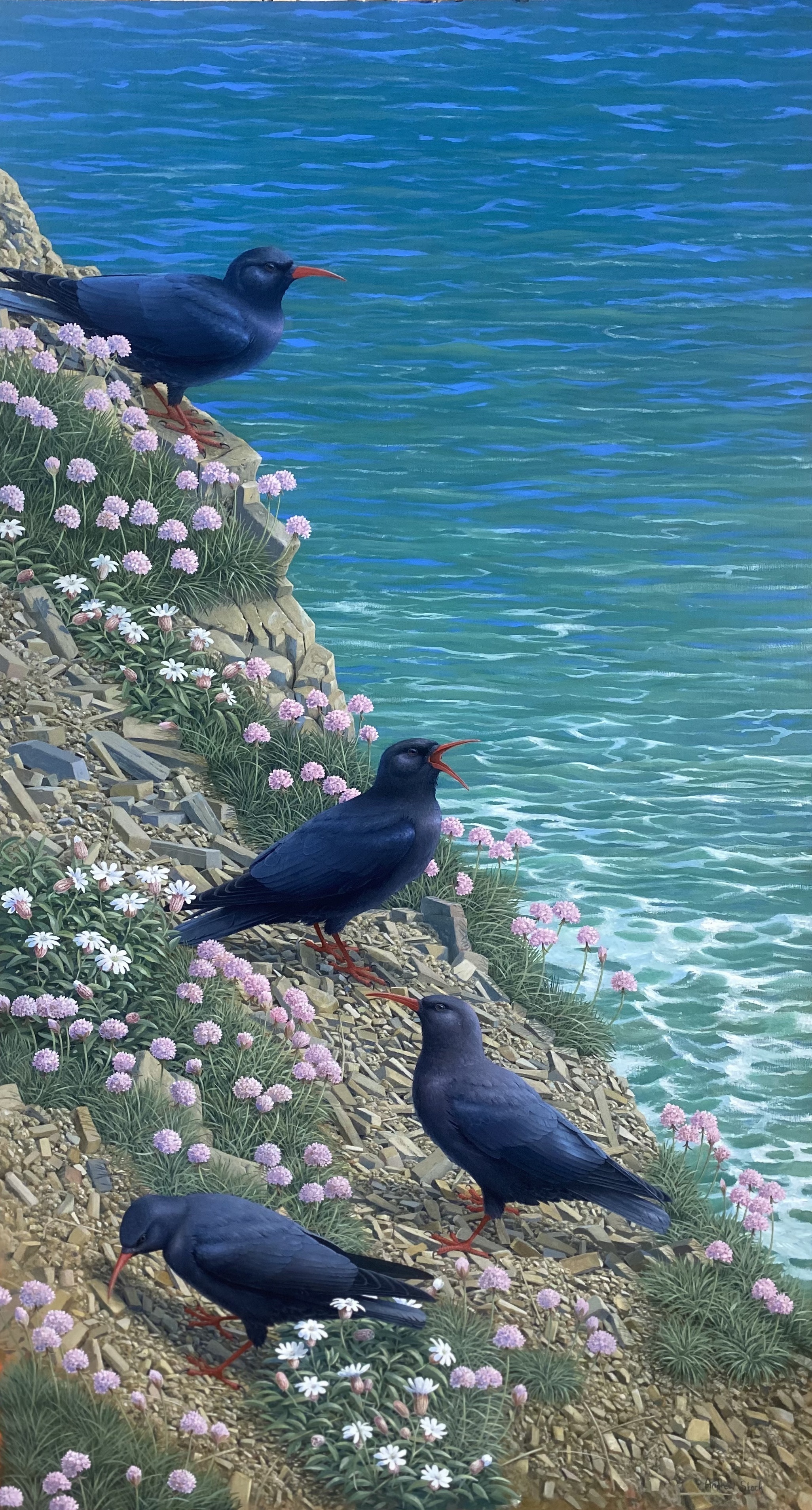 <p>A chattering of Choughs by Andrew Stock</p>