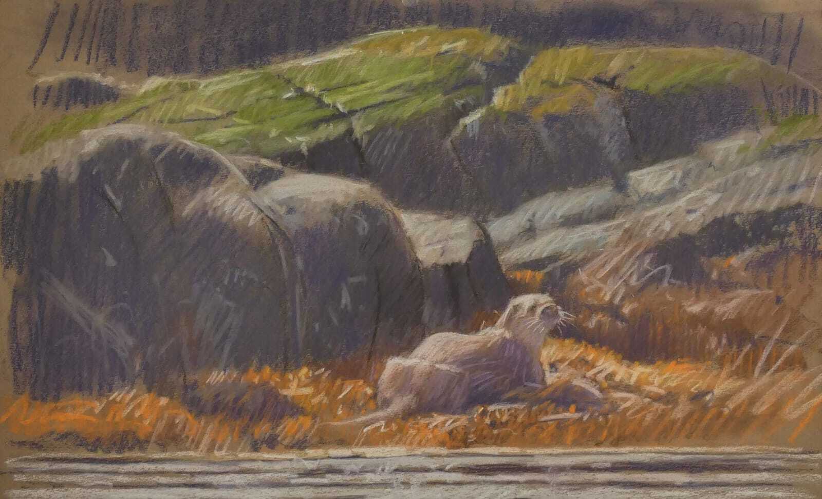 <p>Dog Otter, Taynish Rapids by John Threlfall</p>