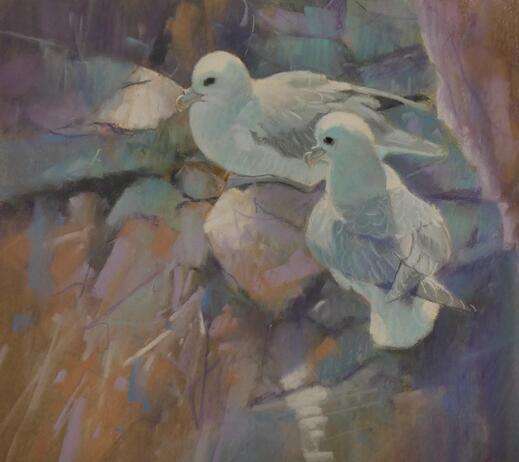 Fulmars by John Threlfall