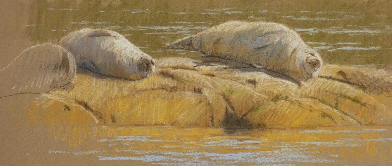 <p>Common Seals by John Threlfall</p>