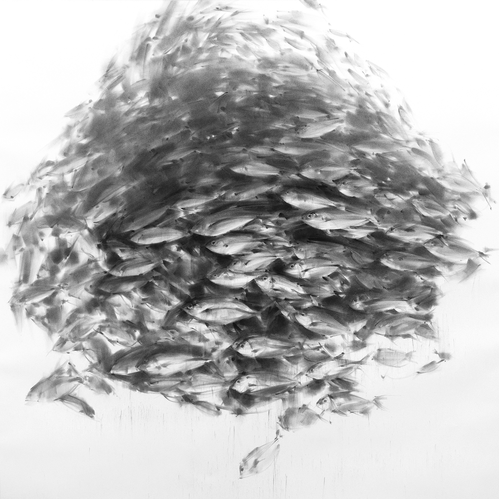   More from Tianyin's series of Schooling Fish