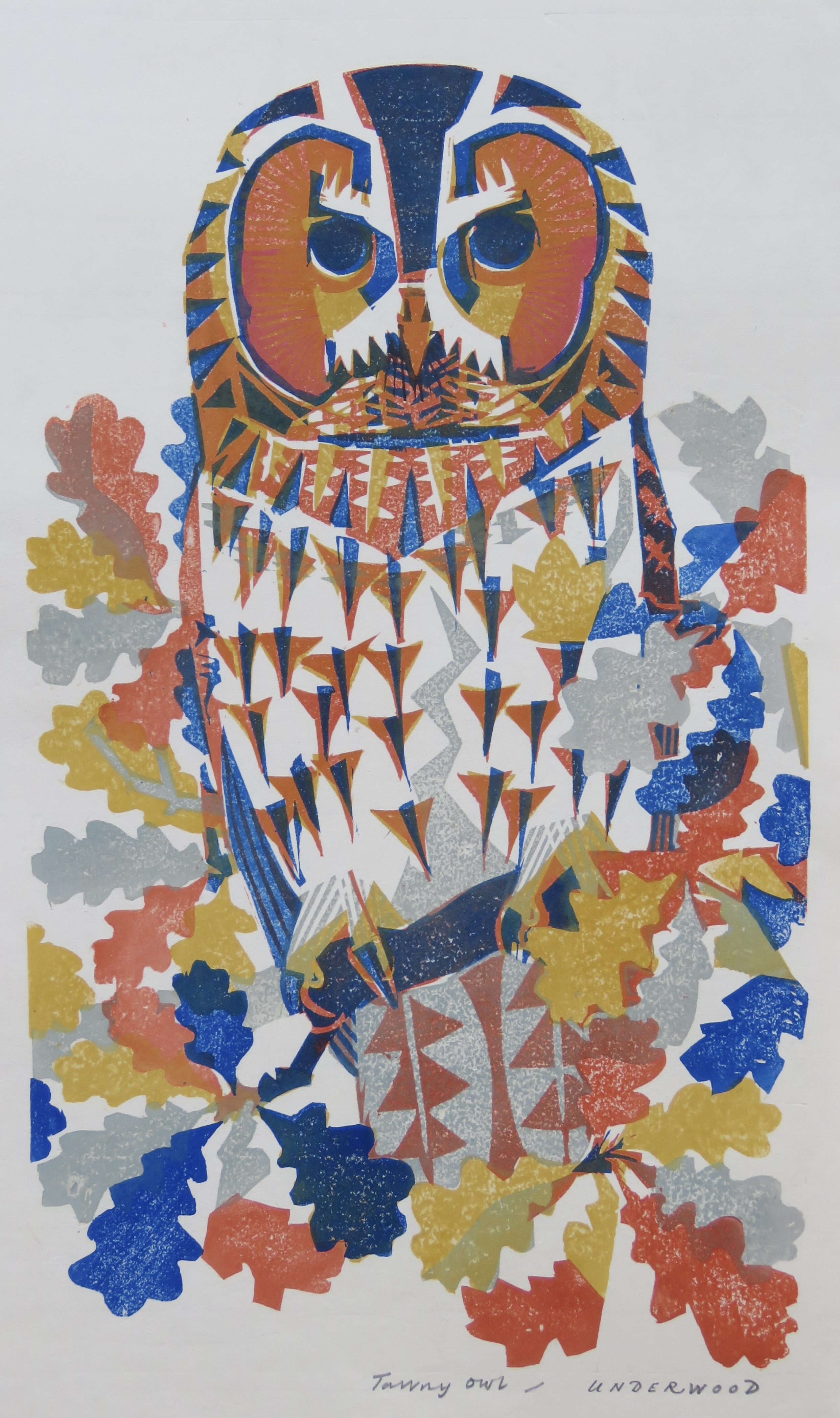   Tawny Owl, a woodblock print by Matt Underwood