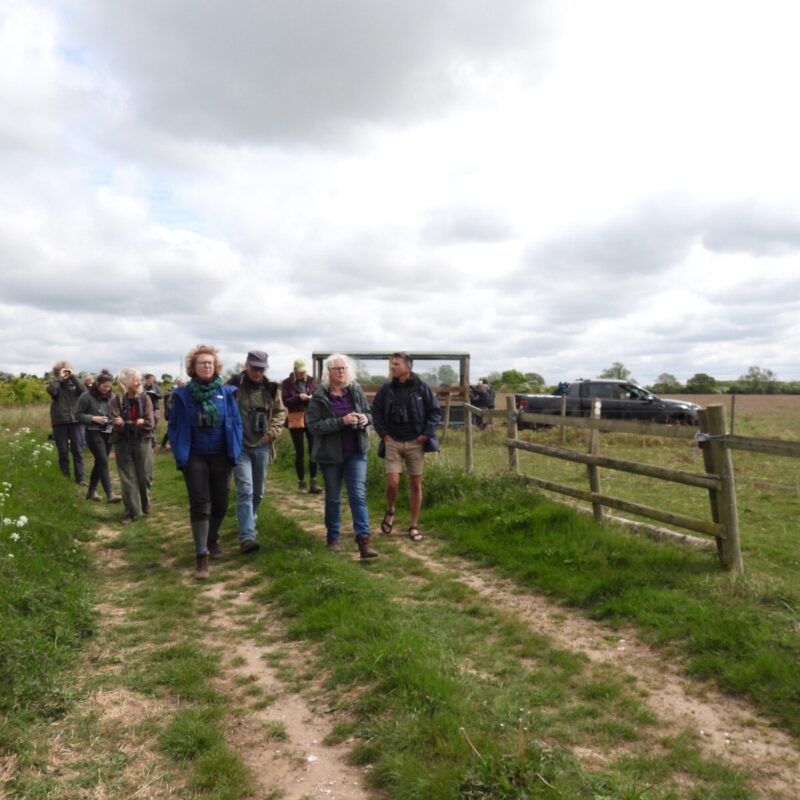   Artists exploring Massingham Heath