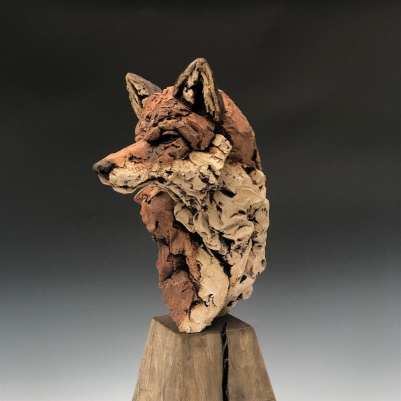   Fox portrait by Simon Griffiths