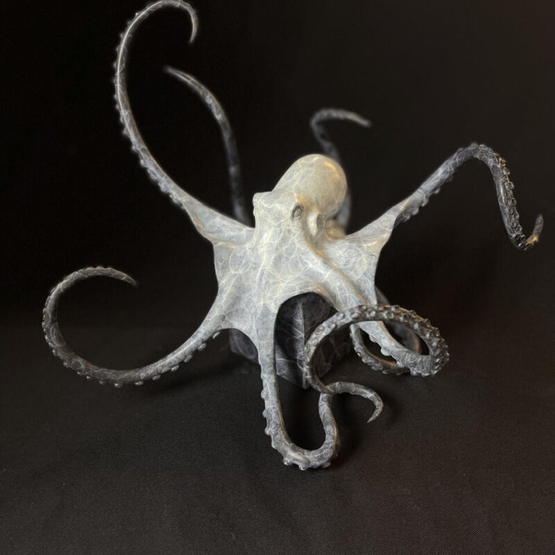   Octopus on cube by Stephen Rew